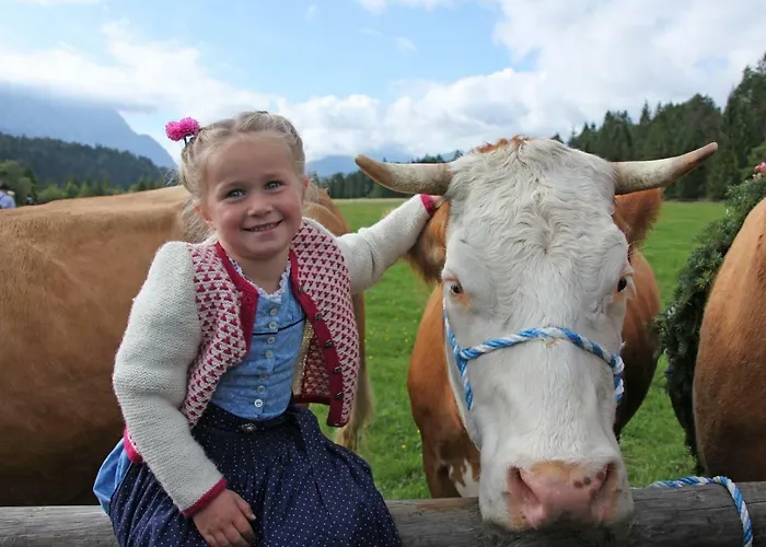 Marktstueberl Appartement Mittenwald